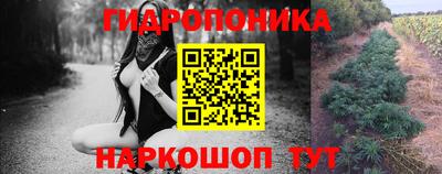 СК Краснознаменск